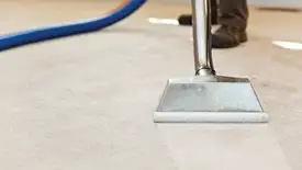 Carpet cleaning wand head gliding over a light carpet during hot-water extraction, Pittsburgh, PA.