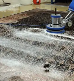 Professional rug cleaning with a rotary floor machine and shampoo foam, deep-cleaning an area rug Pittsburgh, PA.